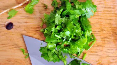 garnishing-instructions-image